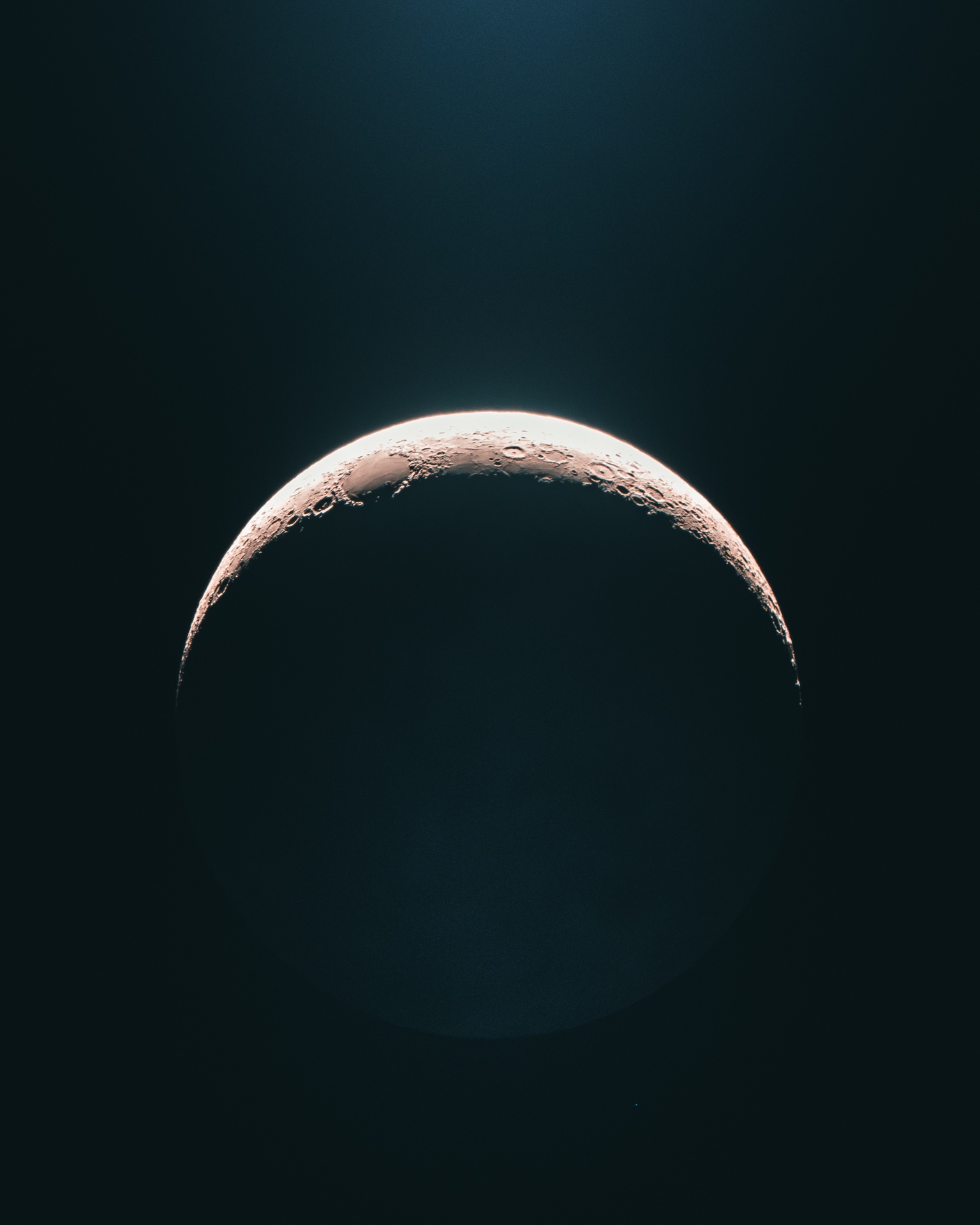 Short eared owl portrait by mankeyfoto